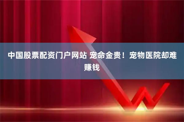 中国股票配资门户网站 宠命金贵！宠物医院却难赚钱